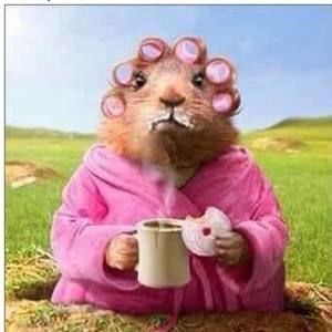 Meet your Posher, Gina